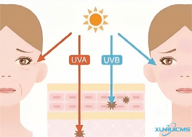 微信圖片_20241022112516