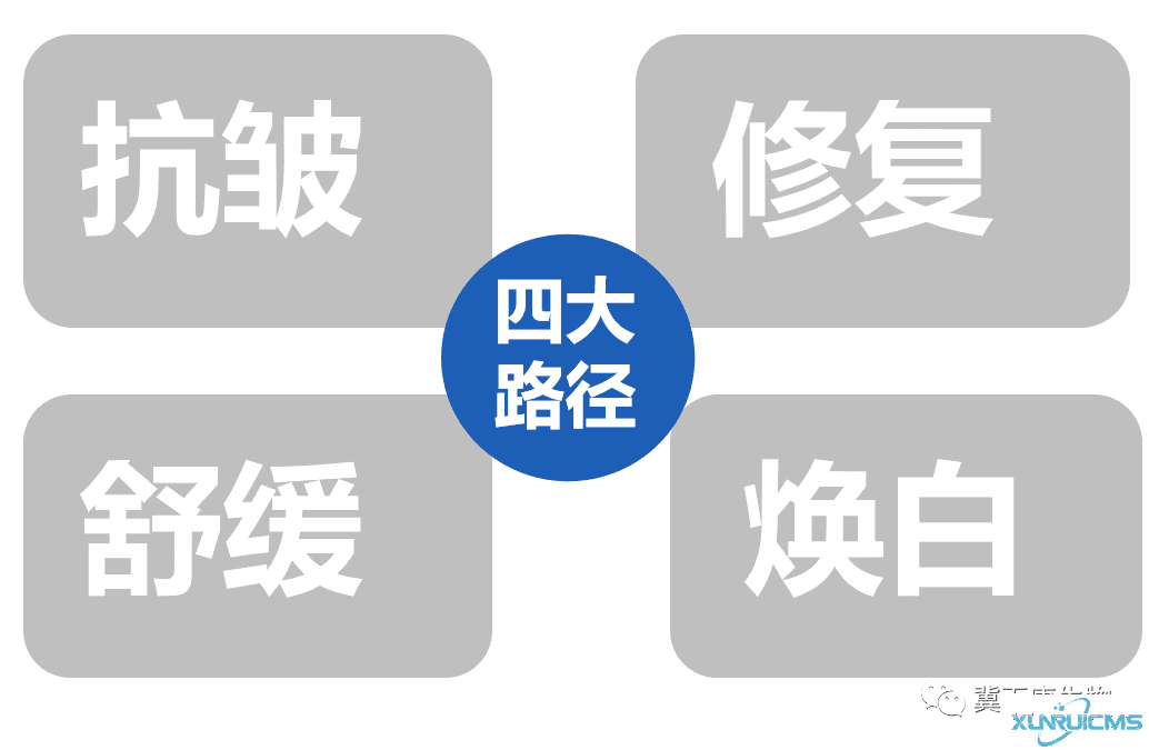 微信圖片_20241024111910