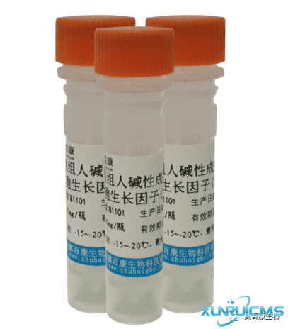 微信圖片_20241024140729 微信圖片_20241024140729