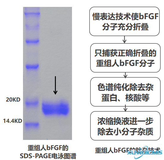 微信圖片_20241024140744 微信圖片_20241024140744
