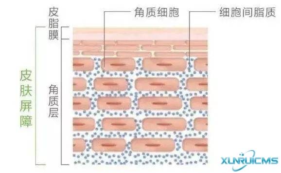 微信圖片_20241024163840 微信圖片_20241024163840