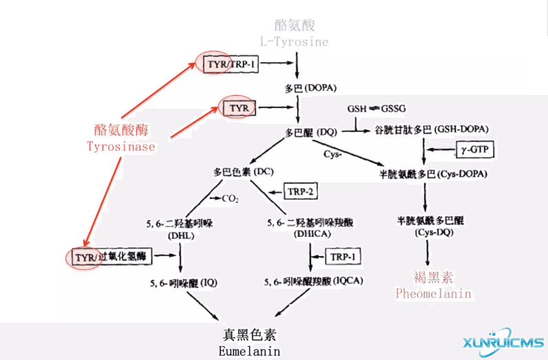 微信圖片_20241024211626