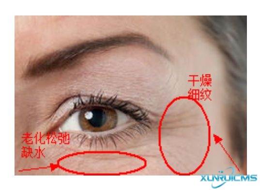 微信圖片_20241029090807 微信圖片_20241029090807