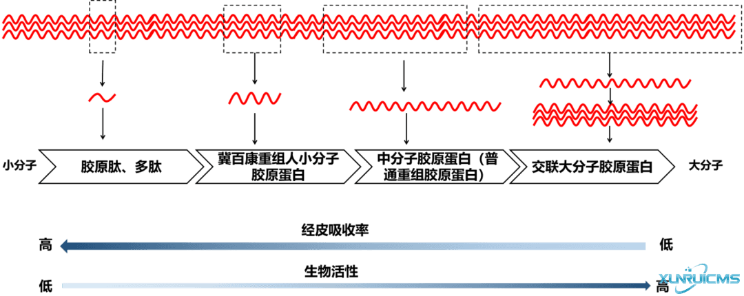 微信圖片_20241101134456