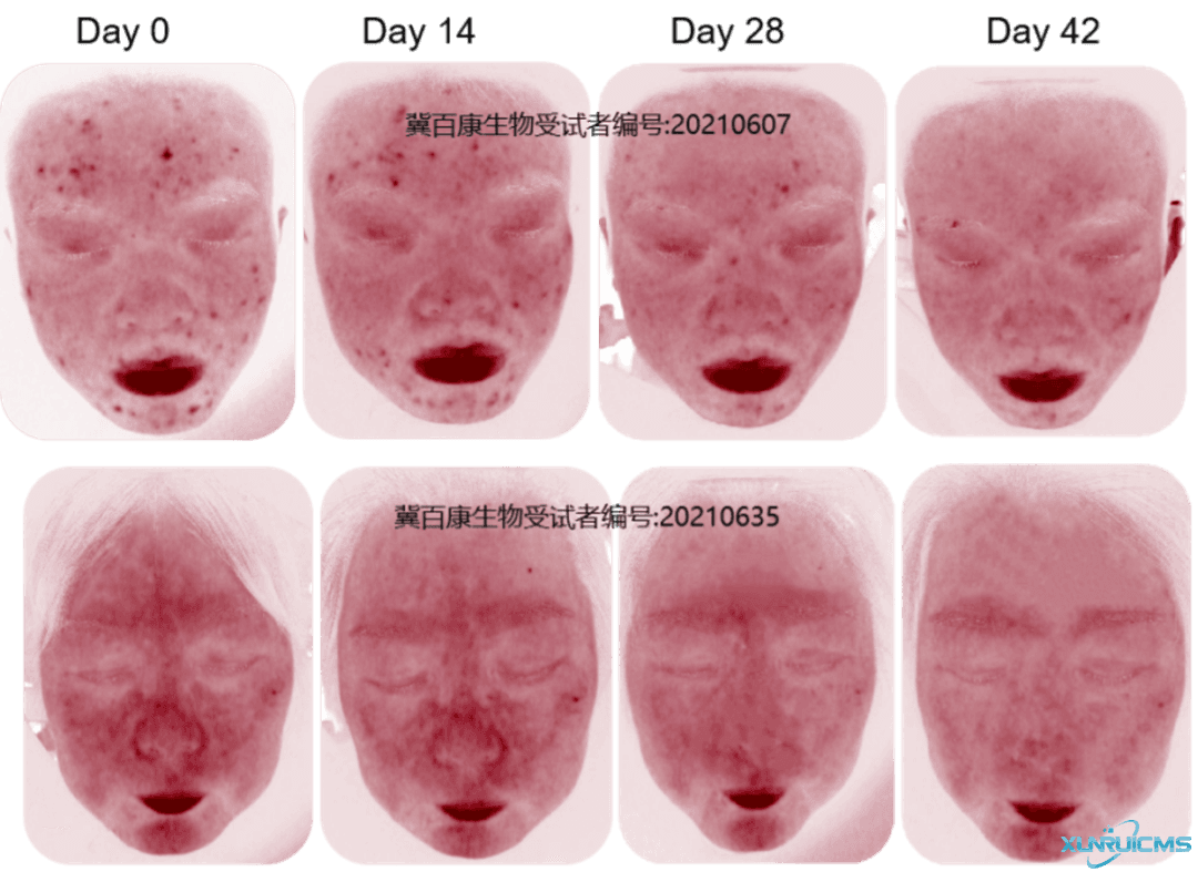 微信圖片_20241101134502