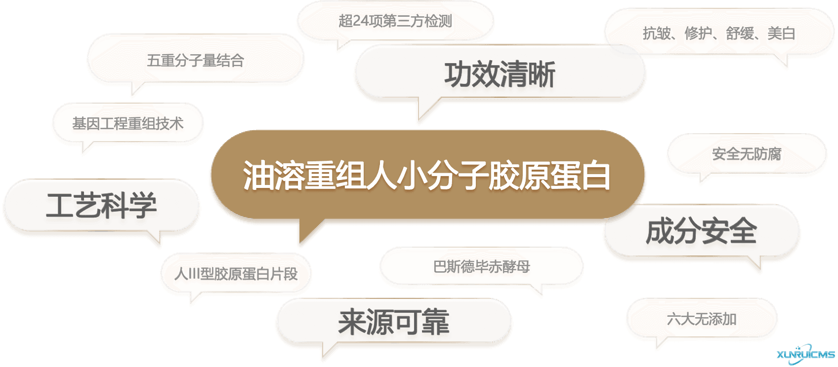 微信圖片_20241101101857 微信圖片_20241101101857